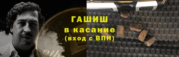 стаф Алзамай