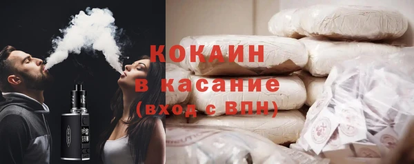 стаф Алзамай