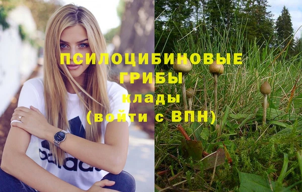 мет Алексин