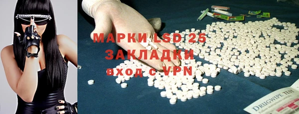 стаф Алзамай
