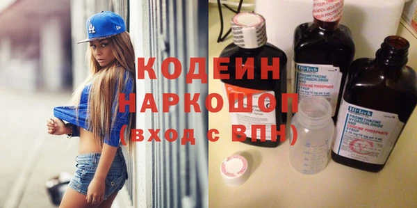 мет Алексин